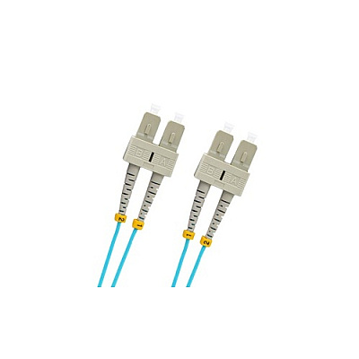 Weltron 2 Meter Sc/sc 50 Micron 10gig Aqua Mm (9021022M)