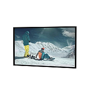 DA-Lite Screen Da-snap Dm 49x87npa 100d Hdtv (95555)