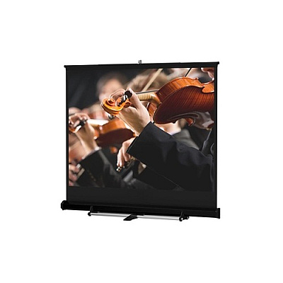 DA-Lite Screen Model C Floor 120d 69x92 Mw (98040)