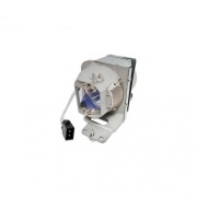 Total Micro Technologies 210w Projector Lamp (BL-FP210A-TM)