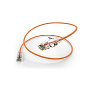 Uncommonx 2ft Cat6 Clearfit Slim Patch Cable Org (CS602FORG)