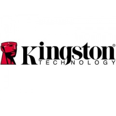 Kingston 256mb For Gsa,federal Govt Only (KTC-PR266/256-G)