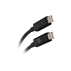 Iogear 3.3 Ft Thunderbolt Cable (GTC01BK)
