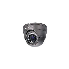 Everfocus Electronics 700 Tvl 3axis High Res Outdoor (EBD331E)