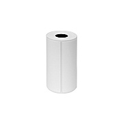 Brother Adhesve Papr Rolls Label, 4x2 In,12pk (RDS03U1)