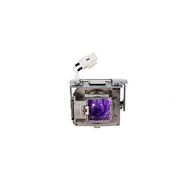 Viewsonic Projector Replacement Lamp (RLC110)