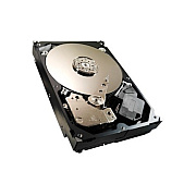 Strategic Sourcing Seagate 500gb 3.5in Sata Drive (ST3500312CS)