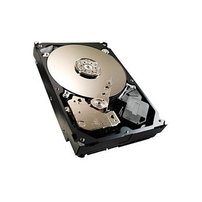 Strategic Sourcing Seagate 500gb 3.5in Sata Drive (ST3500312CS)