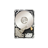 Strategic Sourcing Seagate 1tb Constellation 6gb/s Drive (ST91000640SS)