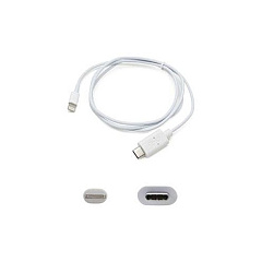 Add-On Addon Usb To Usb Adapter Cable (USBC2LGT1MW)