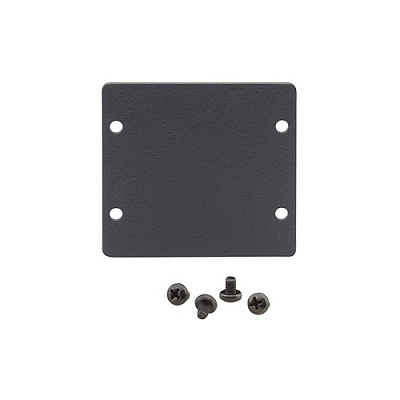 Kramer Electronics Wall Plate Insert Double Blank Slot (W2BLANK)