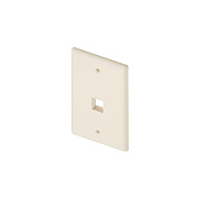 Uncommonx 1port Wall Plate, Single Gang, Ivory (WP1PIVY)
