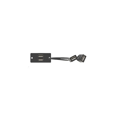 Kramer Electronics 2 X Usb 2.0 (a/a) Wall Plate Insert (WU2AA)