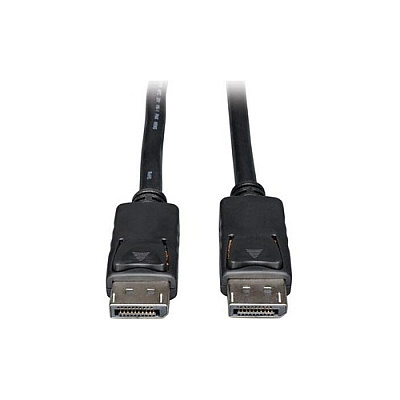 Tripp Lite 100ft Displayport Cable 1080p A/v M/m (P580100)