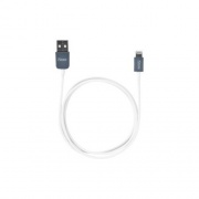 Targus Istore Sync & Charge Lightning Cable (ACC961CAI)