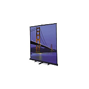 DA-Lite Screen Model C Floor 8x8 Mw Cpt Blk (93891)