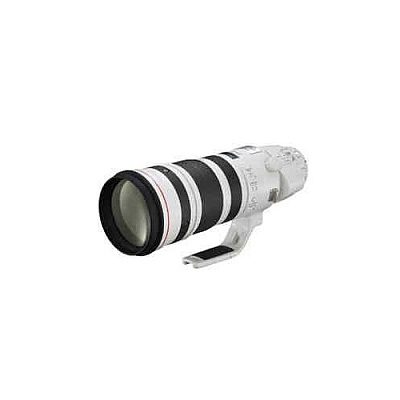 Canon Ef 200400mm F/4l Is Usm Extender 1.4x (5176B002)
