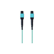 Belkin Mtp To Mtp Fiber Optic Cable; Mtp/mtp (F2CF0061M)