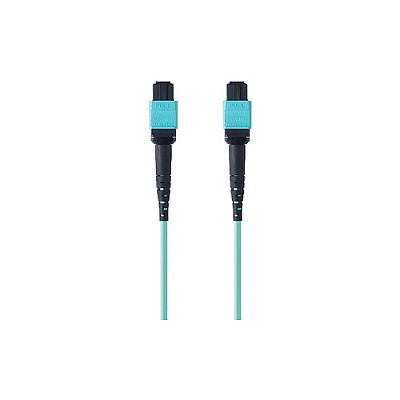 Belkin Mtp To Mtp Fiber Optic Cable; Mtp/mtp (F2CF0061M)