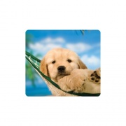 Fellowes Optical Mousepad - Puppy In Hammock (5913901)