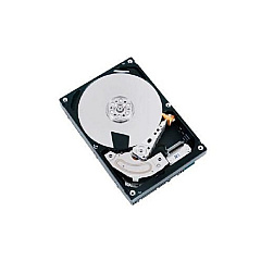 Tpcast Us 3.5 Tomcat/sata/4kn/3tb (MG04ACA300A)