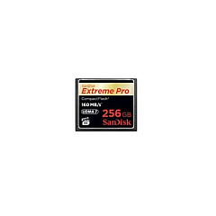 SanDisk 256gb, Cf, 160 Mbps Read,150 Mbps Write (SDCFXPS256GA46)