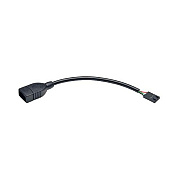 Tripp Lite 6in Usb Header Cable Usb-a To 4pin Idc (U02406NIDC)