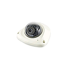 Hanwha Vision Outdoor Vandal Dome Camera,2mp 3.6mm M12 (XNV6022RM)