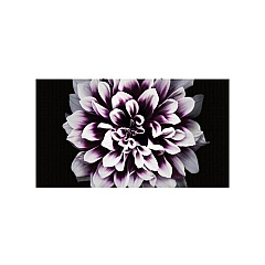 Samsung The Wall Professional (p0.8) (IW008J)