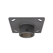 Pride Ceiling Adapter With 2 Inch Welded Coupl (PP6)