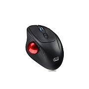 Adesso Wireless Progam Ergo Design, 1.3 Trackba (IMOUSET30)