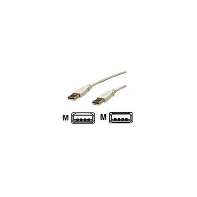 Bytecc 10 Ft Usb 2.0 Cable, White Color (USB210AAW)