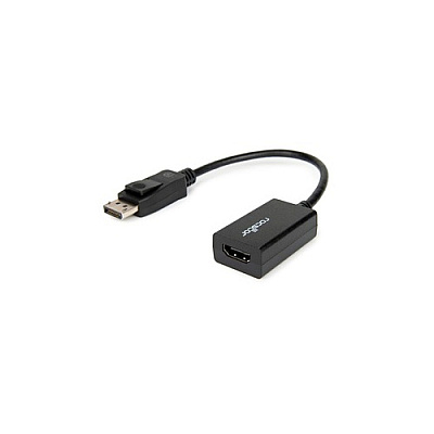Rocstor Displayport To Hdmi Adapter - 1 X Displ (Y10A101B1)