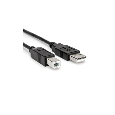 Rocstor Usb 2.0 - Type A To Type B - M/m - 1 Pa (Y10C115B1)