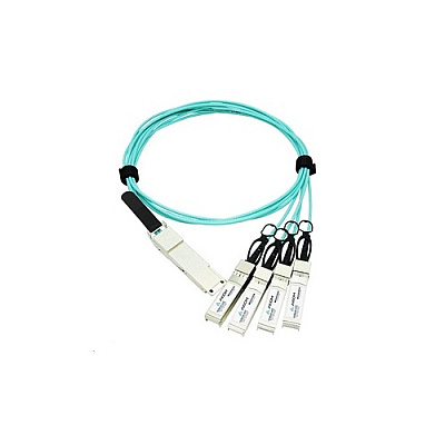 Axiom Qsfp28 Aoc Cable For Extreme 5m (10441AX)