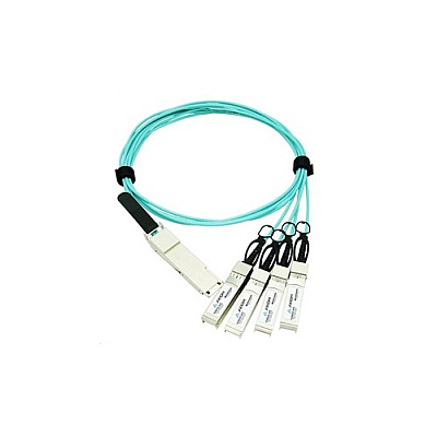 Axiom Qsfp28 Aoc Cable For Extreme 10m (10443AX)