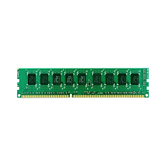 Synology Ecc Ram Module (2gb) 2 Pack (RAM2GECCX2)