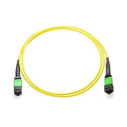 Axiom Mpo-mpo Os2 F/m Fiber Cable 2m (MPOFMSM2MAX)