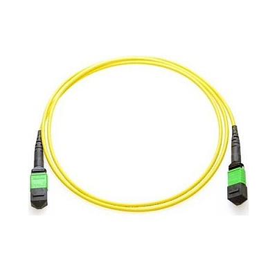 Axiom Mpo-mpo Os2 F/m Fiber Cable 2m (MPOFMSM2MAX)