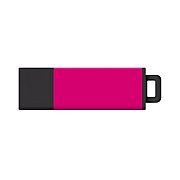 Centon Electronics Centon Usb 2.0 Datastick Pro2 (magenta) (S1U2T1116G)
