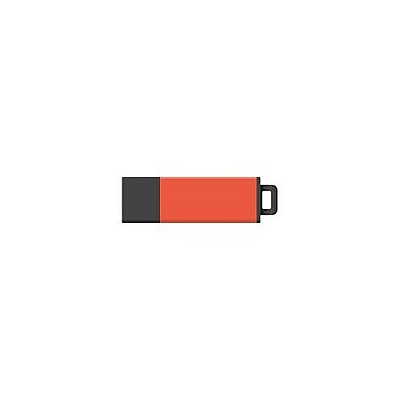 Centon Electronics Centon Usb 2.0 Datastick Pro2 (red/orang (S1U2T88G)