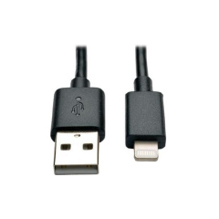 Tripp Lite 10in Usb Lightning Charge Cable Black (M10010NBK)