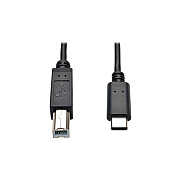 Tripp Lite 6ft USB 2.0 Hi-Speed Cable B Male to USB Type-C USB-C Male 6' (U040006)