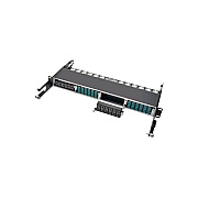 Tripp Lite 40gbe Fiber Cassette X12 Fiber Mtp/mpo (N48412M12)