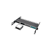 Tripp Lite 12-port Sfp+ 10gbe Pass Through Cassette (N48412SFPK)