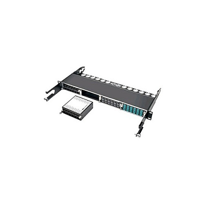 Tripp Lite 12-port Sfp+ 10gbe Pass Through Cassette (N48412SFPK)