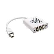 Tripp Lite 6in Mini Dport-dvi-i Adapter Active M/f (P13706NDVIV2)