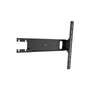 Chief Manufacturing Side Speaker Assembly (FCA535)
