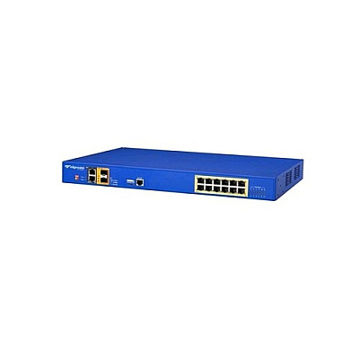 Rittal 2900e Poe: Edgemarc 15 Intelligent Edge (2900EPOE100001)