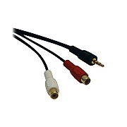 Tripp Lite 6in Mini Stereo To 2-rca Audio Cable M/f (P31506N)